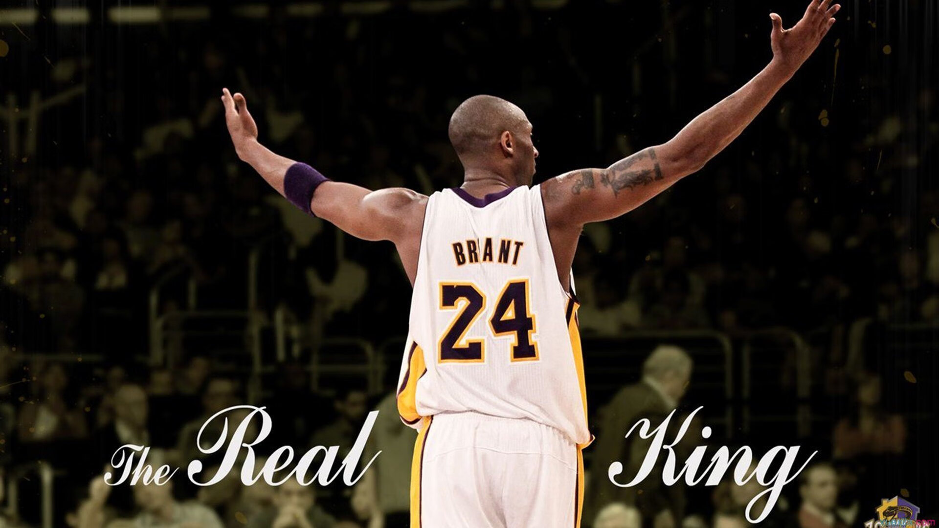 IG战队强化赛季训练计划执行监督，ig训练赛名单公布